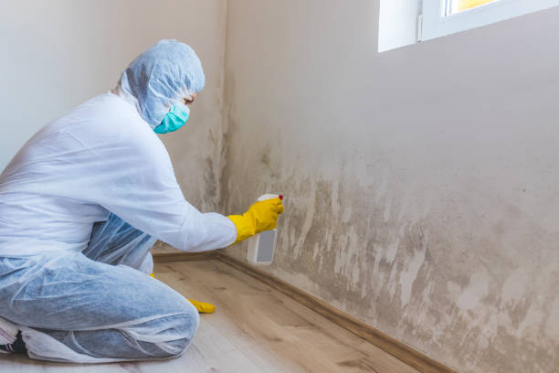 Licensed Mold Remediation service in Linden, TN - 24 Hour Mold Removal