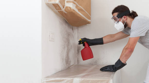 Professional Mold Remediation technician working in Linden, TN