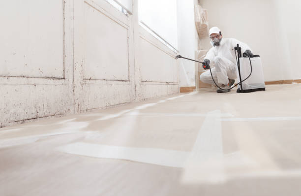 24/7 Emergency Mold Remediation experts in Linden, TN