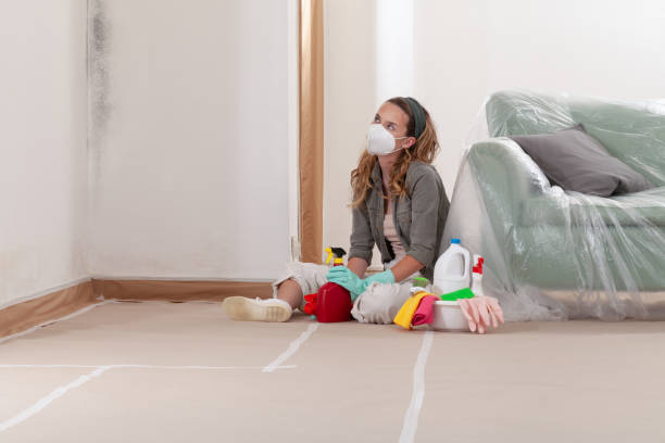 Reliable Mold Remediation contractor in Linden, TN by 24 Hour Mold Removal